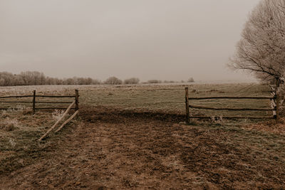 Scenic view of field against clear sky