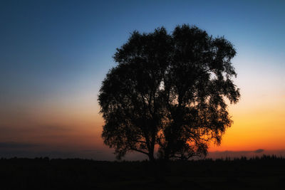 Silhouette tree against clear sky during sunset