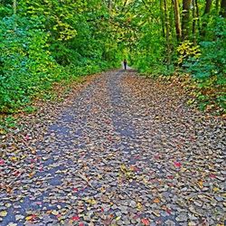 Surface level of footpath