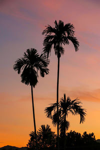 Silhouette palm trees against romantic sky at sunset