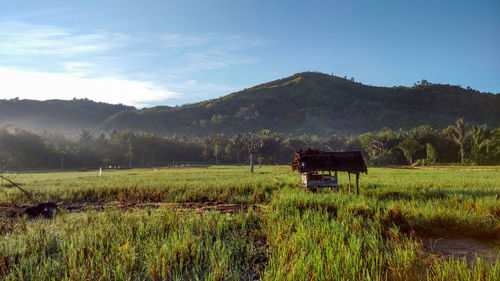 Farm against mountains