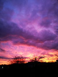 Silhouette trees against dramatic sky during sunset