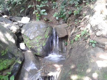 View of waterfall in forest