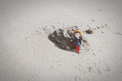 Portrait of boy on sand at beach
