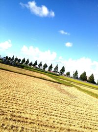 Scenic view of field against cloudy sky