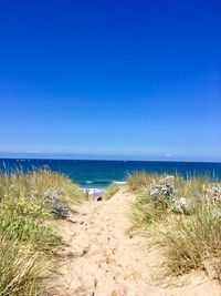 Scenic view of beach against clear blue sky