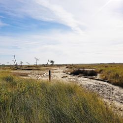 Scenic view of field against sky