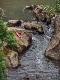 Rocks on rocks