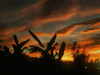 Close-up of silhouette plants against sky during sunset