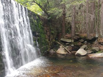 Scenic view of waterfall in forest