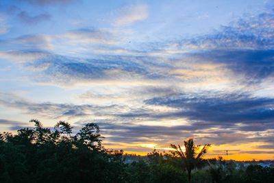 Silhouette plants against dramatic sky during sunset