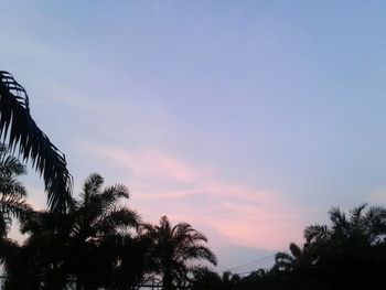 Low angle view of silhouette trees against sky