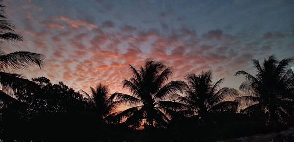 Low angle view of silhouette palm trees against sky during sunset