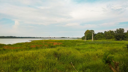 Scenic view of field against sky