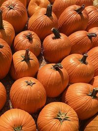 Full frame shot of pumpkins