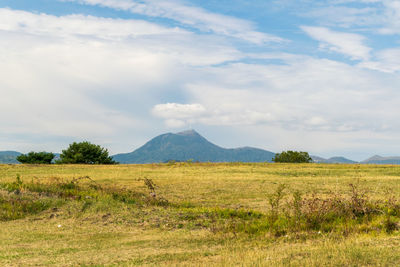 Scenic view of field against sky