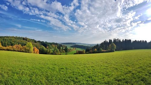 Scenic view of field against sky