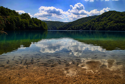 Scenic view of lake against sky