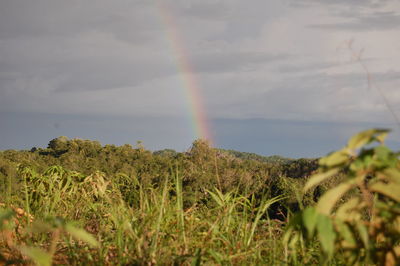 Scenic view of rainbow against sky