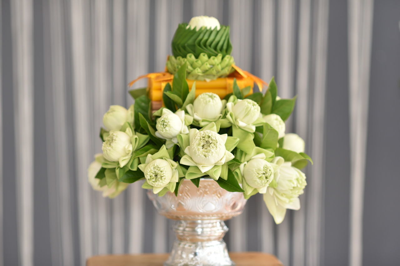 CLOSE-UP OF WHITE FLOWER POT