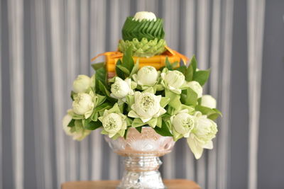 Close-up of white flowers in pot