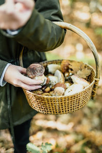 Midsection of woman holding mushroom in basket