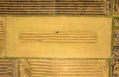 Aerial view of weeding on paddy field