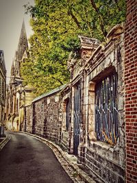 View of buildings along trees