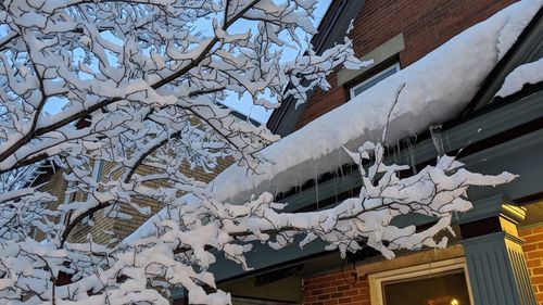 Low angle view of icicles on roof of building during winter