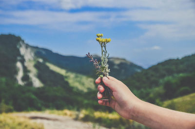Close-up of hand holding flowering plant against sky