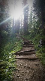 Walkway amidst trees against sky