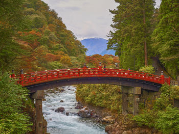 Arch bridge amidst trees in forest against sky