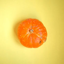 Directly above shot of orange slices