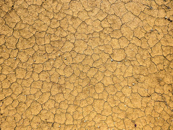 Full frame shot of dry soil