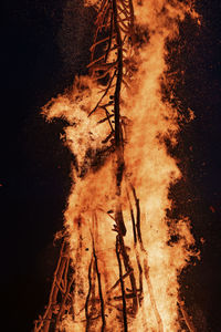 Low angle view of fire in the forest