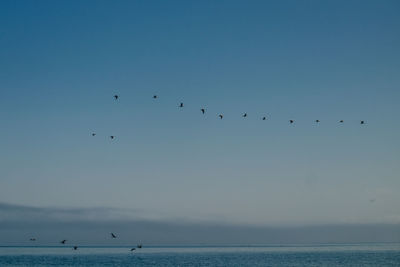 Flock of birds flying over sea against clear sky