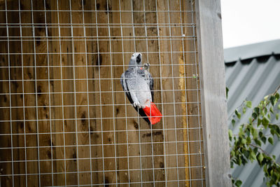 Full length of a young woman standing against building