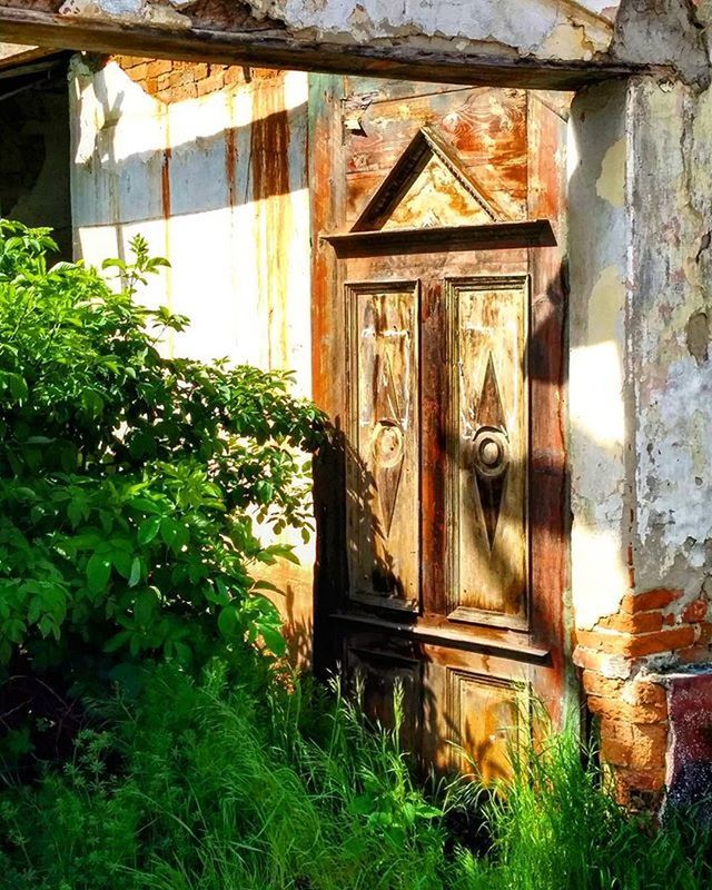 building exterior, built structure, architecture, house, door, plant, window, growth, closed, residential structure, green color, wood - material, old, ivy, weathered, entrance, day, outdoors, wall - building feature, no people