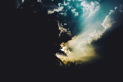 Low angle view of silhouette tree against sky at sunset