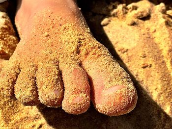 Low section of person on sand