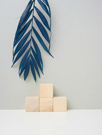 Wooden cube on a gray background with a blue palm leaf. stage for product demonstration, cosmetics. 