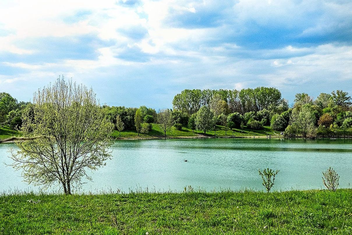 plant, water, tree, sky, cloud, lake, nature, beauty in nature, scenics - nature, tranquility, grass, green, environment, landscape, tranquil scene, wetland, reservoir, no people, land, reflection, meadow, body of water, non-urban scene, day, rural area, travel destinations, outdoors, forest, natural environment, growth, travel, marsh, idyllic, tourism, floodplain