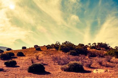 Scenic view of landscape against sky