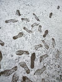 Shoe prints on snow covered field