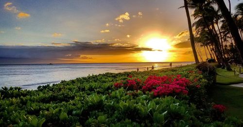 Scenic view of sea against sky during sunset