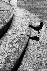 High angle view of shadow on floor