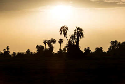 Silhouette palm trees against sky during sunset