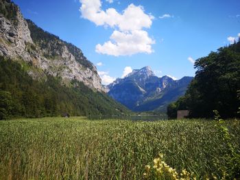 Scenic view of field against sky