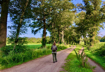 Rear view of woman walking on road amidst trees