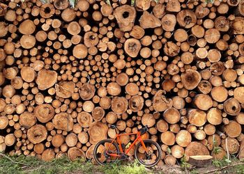 Full frame shot of firewood